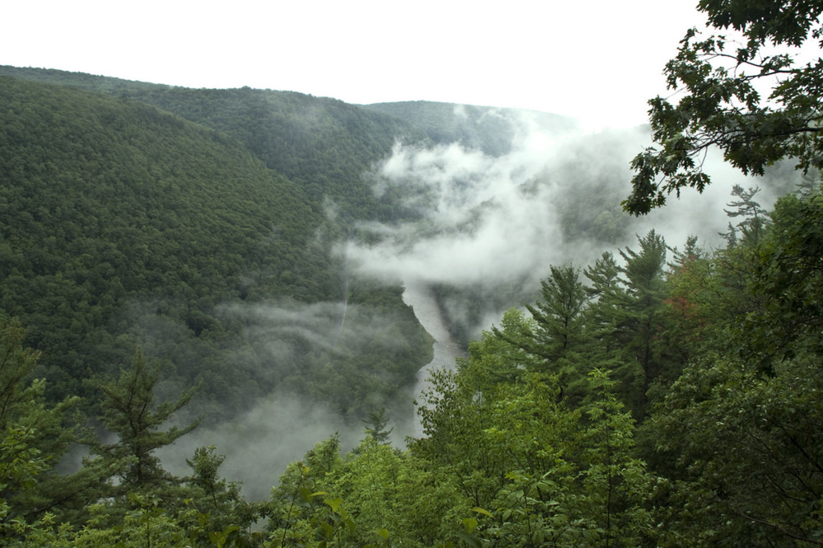 The Best Day Hikes in America: West Rim-Turkey Path