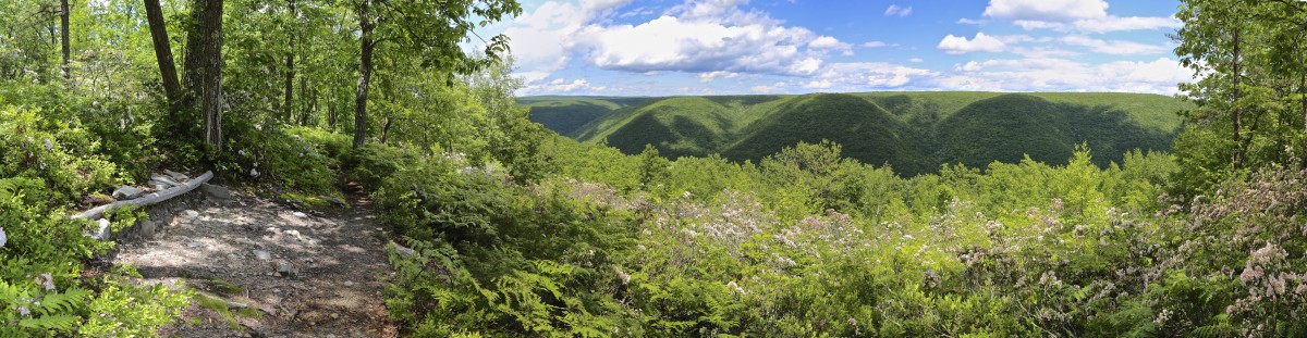 Explore Pennsylvania's Grand Canyon