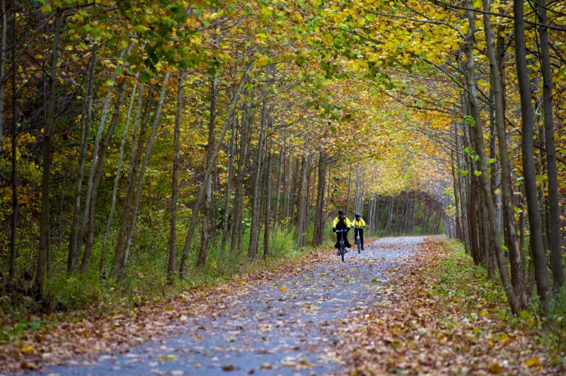 Head Outside For the Perfect Autumn Adventure