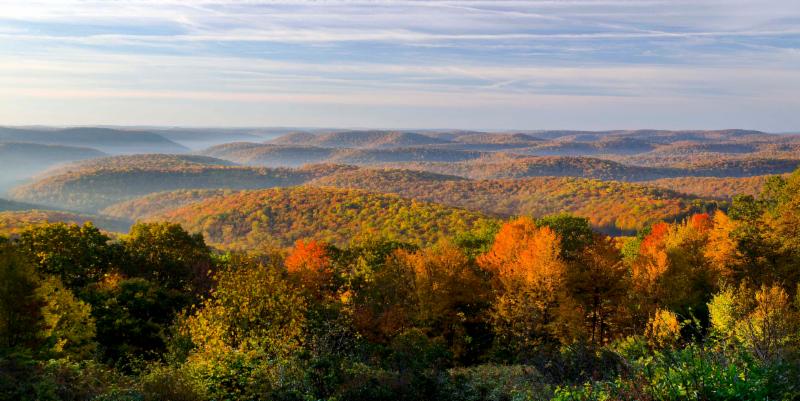 Visit Potter-Tioga State Parks Recognized as ‘Most Beautiful Fall Foliage’ in Pennsylvania