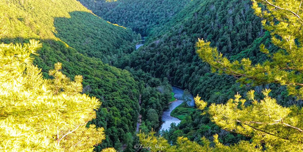 Bask in the Beauty of Spring and Visit Potter and Tioga Counties