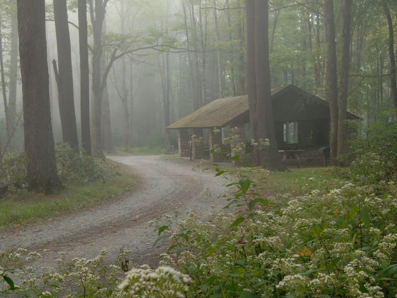Visit Potter-Tioga Camping
