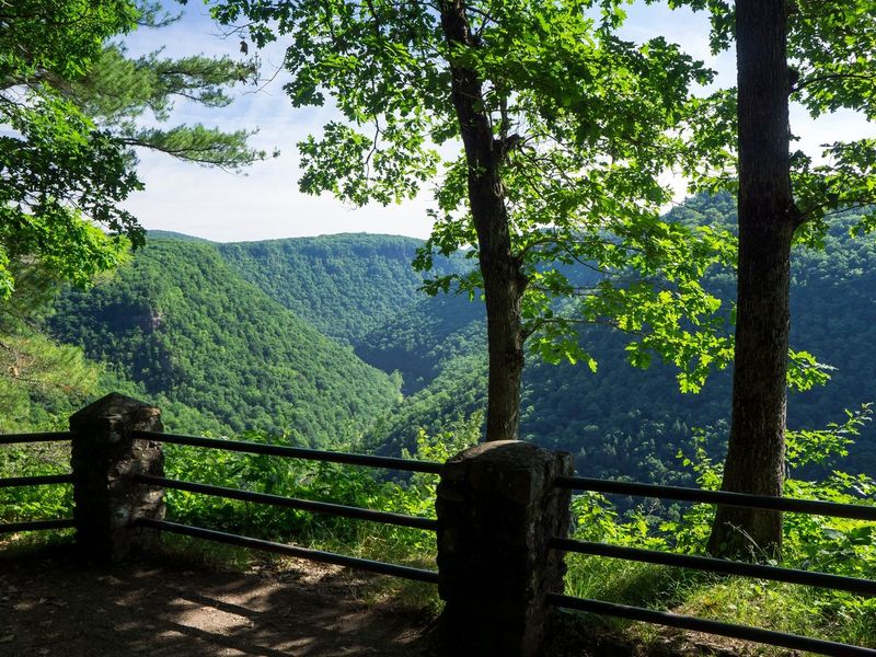 Visit Potter-Tioga Leonard Harrison State Park