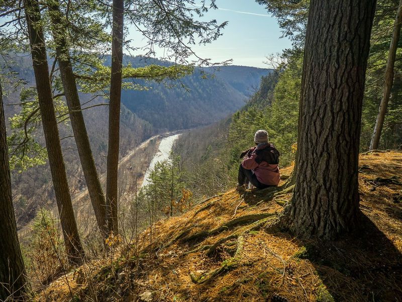 Visit Potter-Tioga Colton Point State Park