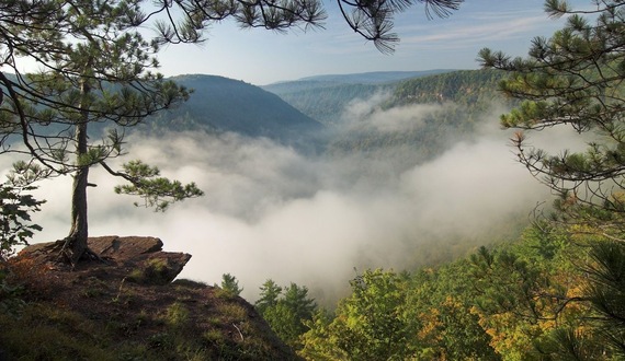 Visit Potter-Tioga PA Grand Canyon