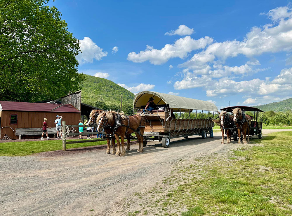 Visit Potter Tioga Ole Covered Wagon