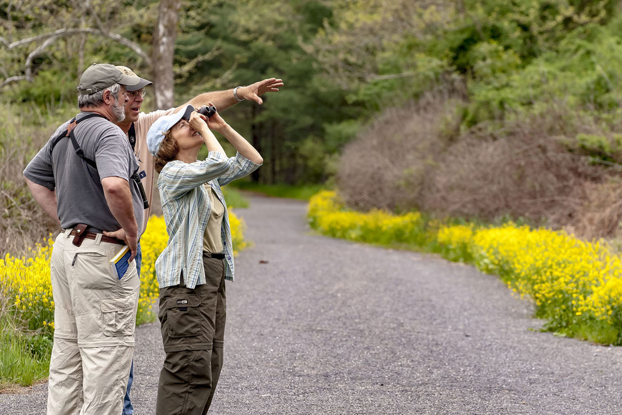 Visit Potter-TIoga Birding