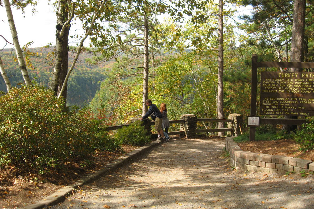 Visit Potter-Tioga Hiking