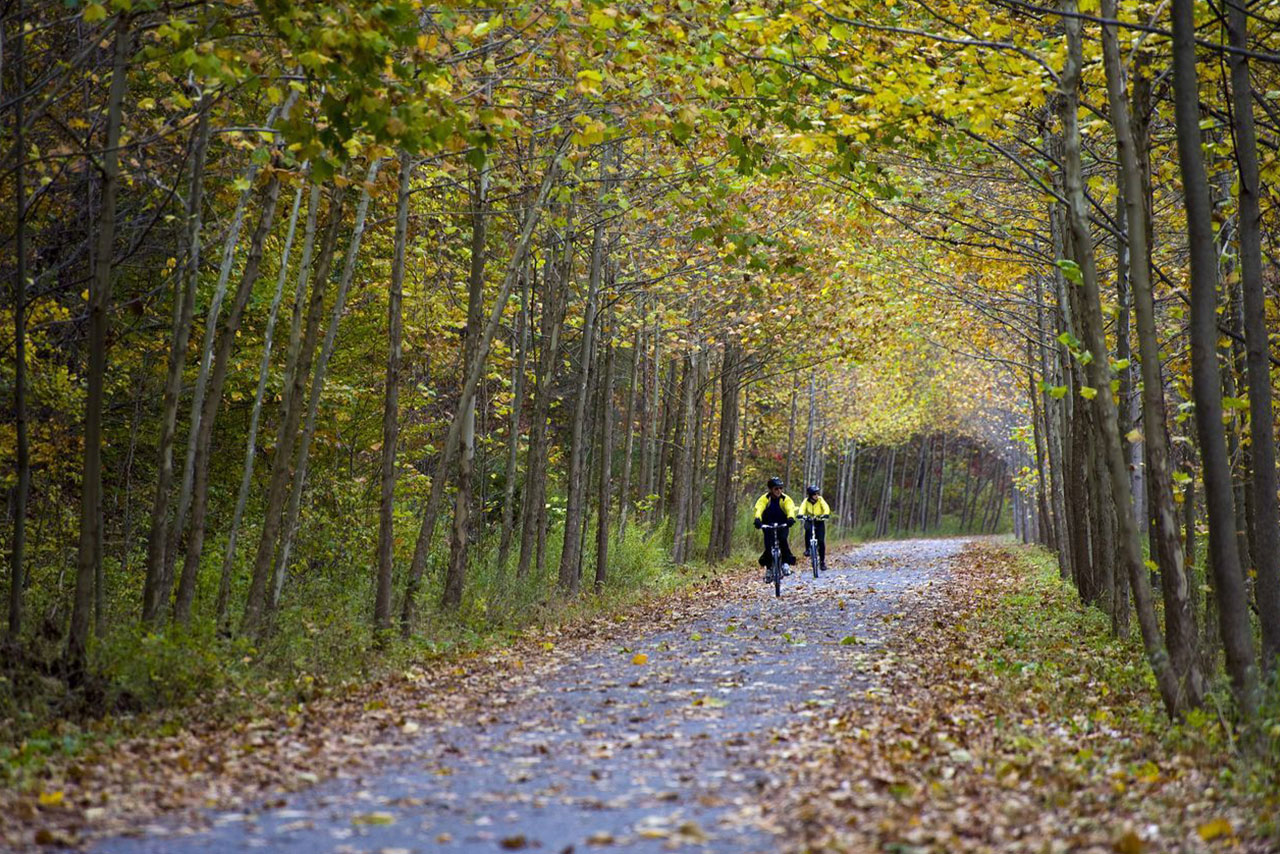 Visit Potter-Tioga Pine Creek Rail Trail