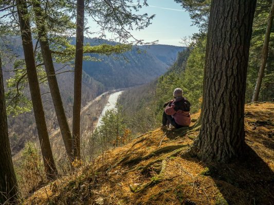 Visit Potter Tioga Colton Point State Park