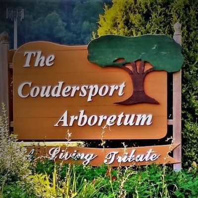 Visit Potter-Tioga Coudersport Arboretum