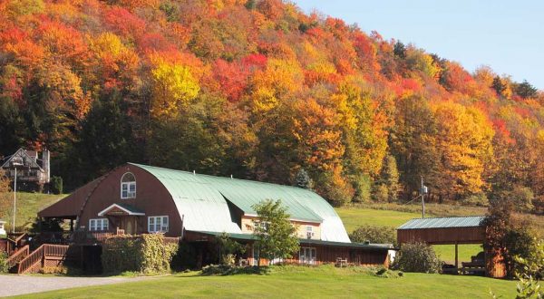 Visit Potter-Tioga Frosty Hollow Bed & Breakfast