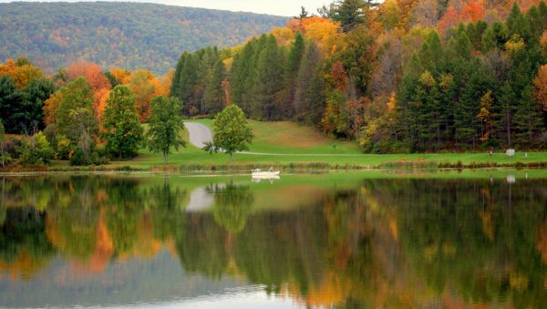 Visit Potter-Tioga PA Hills Creek State Park