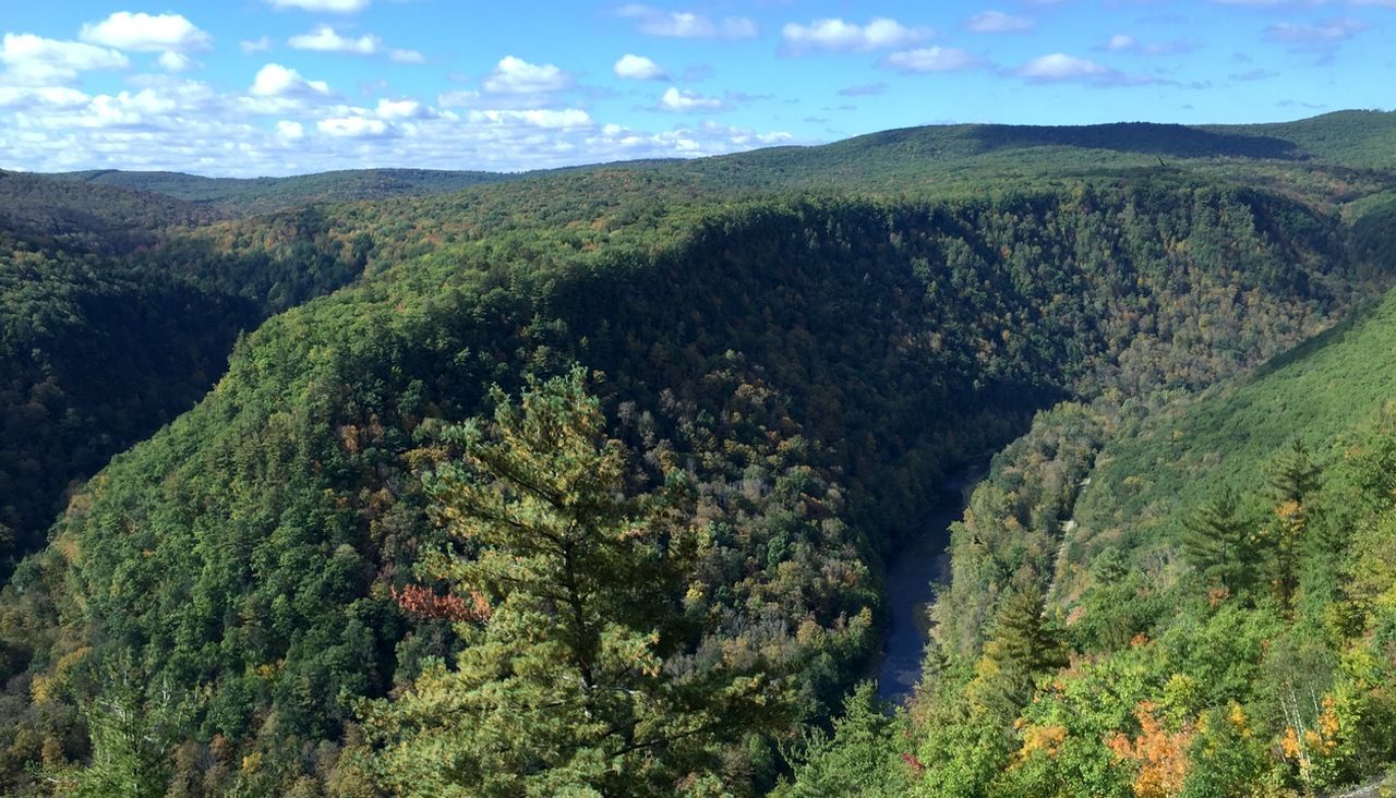 Visit Potter-Tioga Tioga State Forest