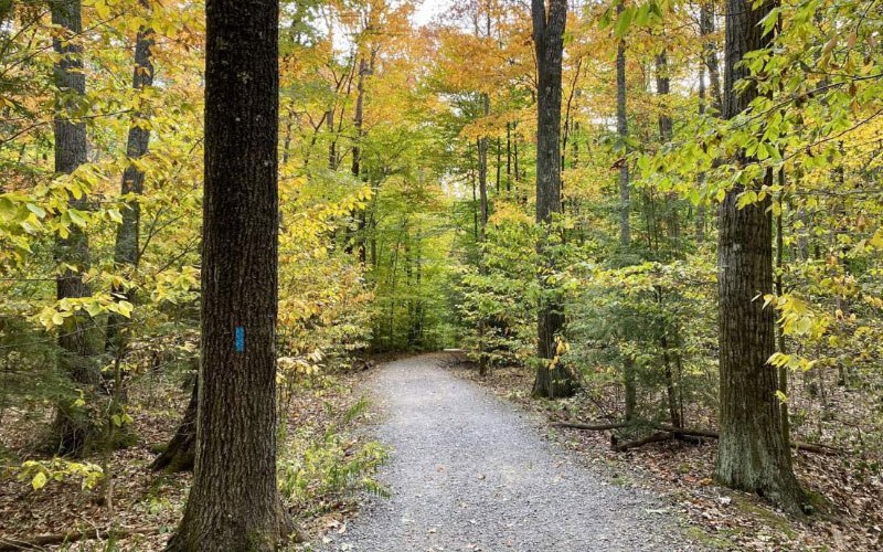 Visit Potter-Tioga Trail Barbour Rock