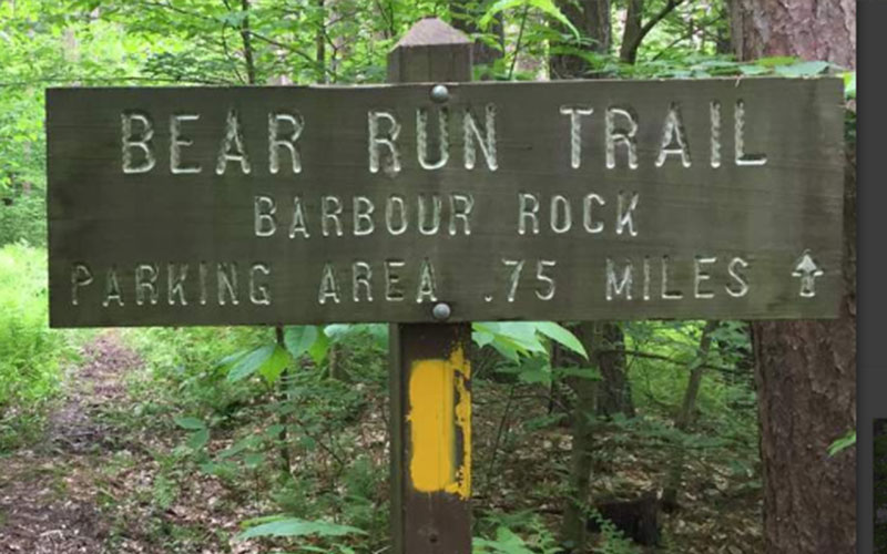 Visit Potter-Tioga Trail Bear Run