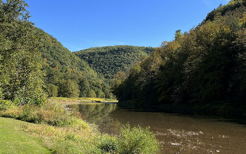 Visit Potter-Tioga Trail Pine Creek Trail