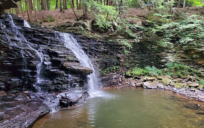 Visit Potter-Tioga Trail Sand Run Falls Trail