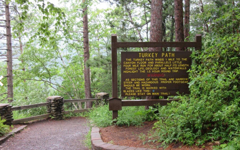 Visit Potter-Tioga Trail Turkey Path