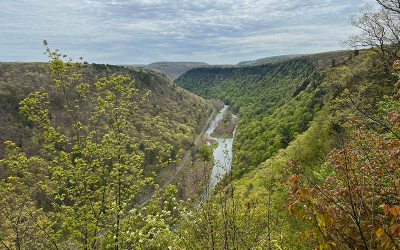 Visit Potter-Tioga Trail West Rim Trail