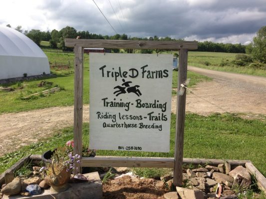 Visit Potter-Tioga PA Member Triple D Farms: Horse and Maple
