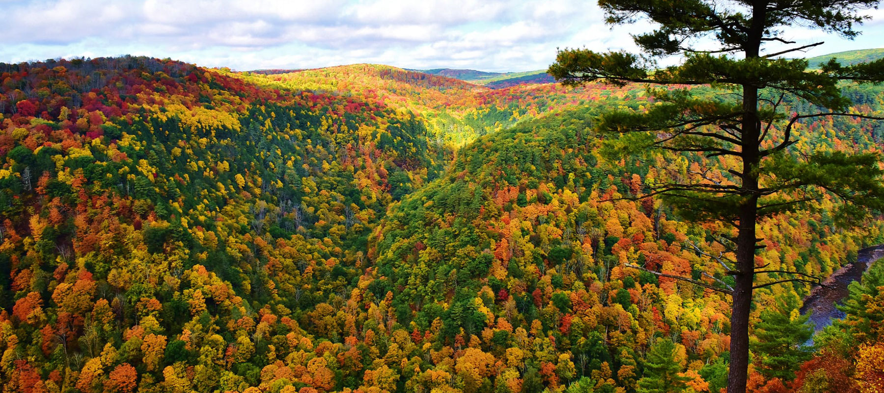 Visit PotterTioga Visit PotterTioga Pennsylvania