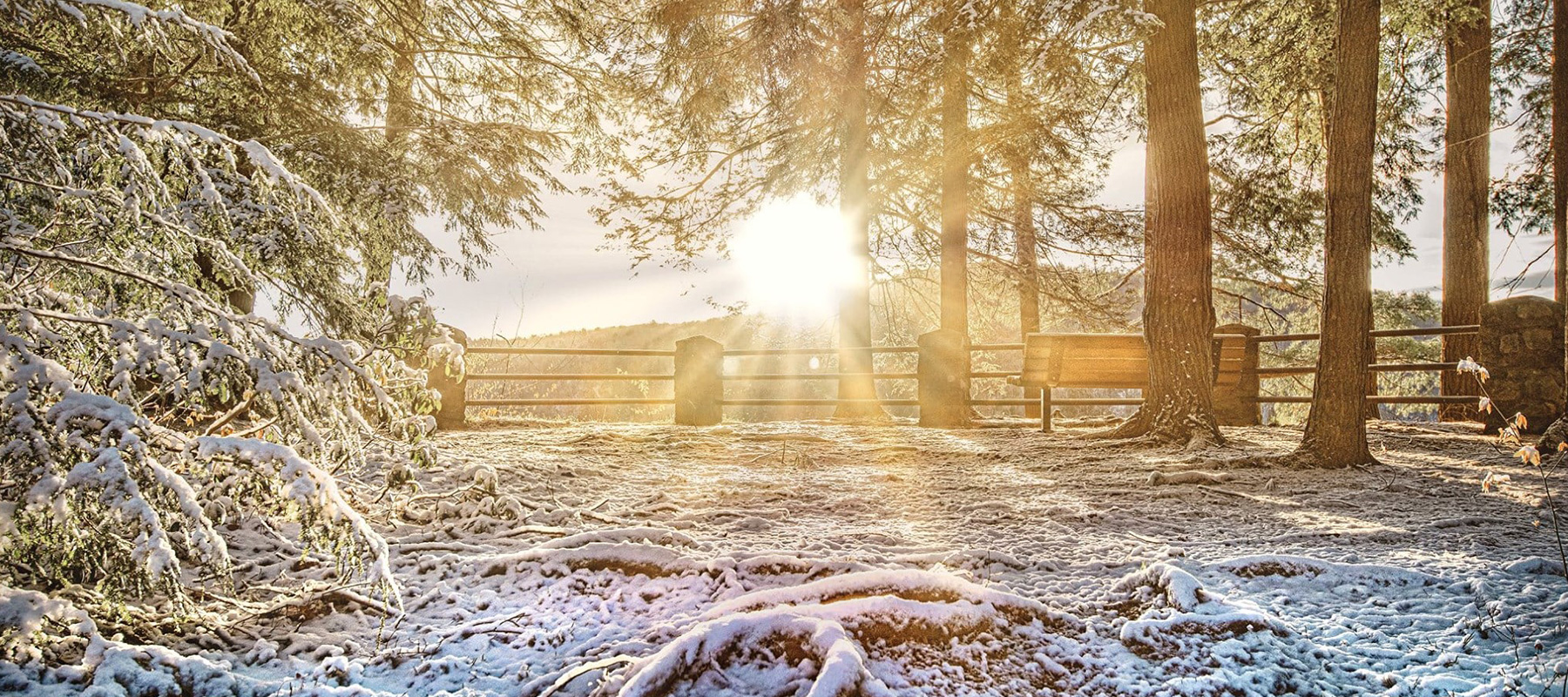 Visit PotterTioga Visit PotterTioga Pennsylvania