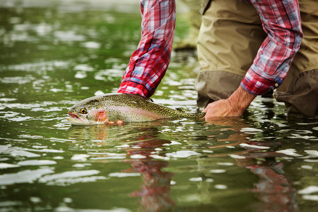 Upper Pine Creek Trout Tournament