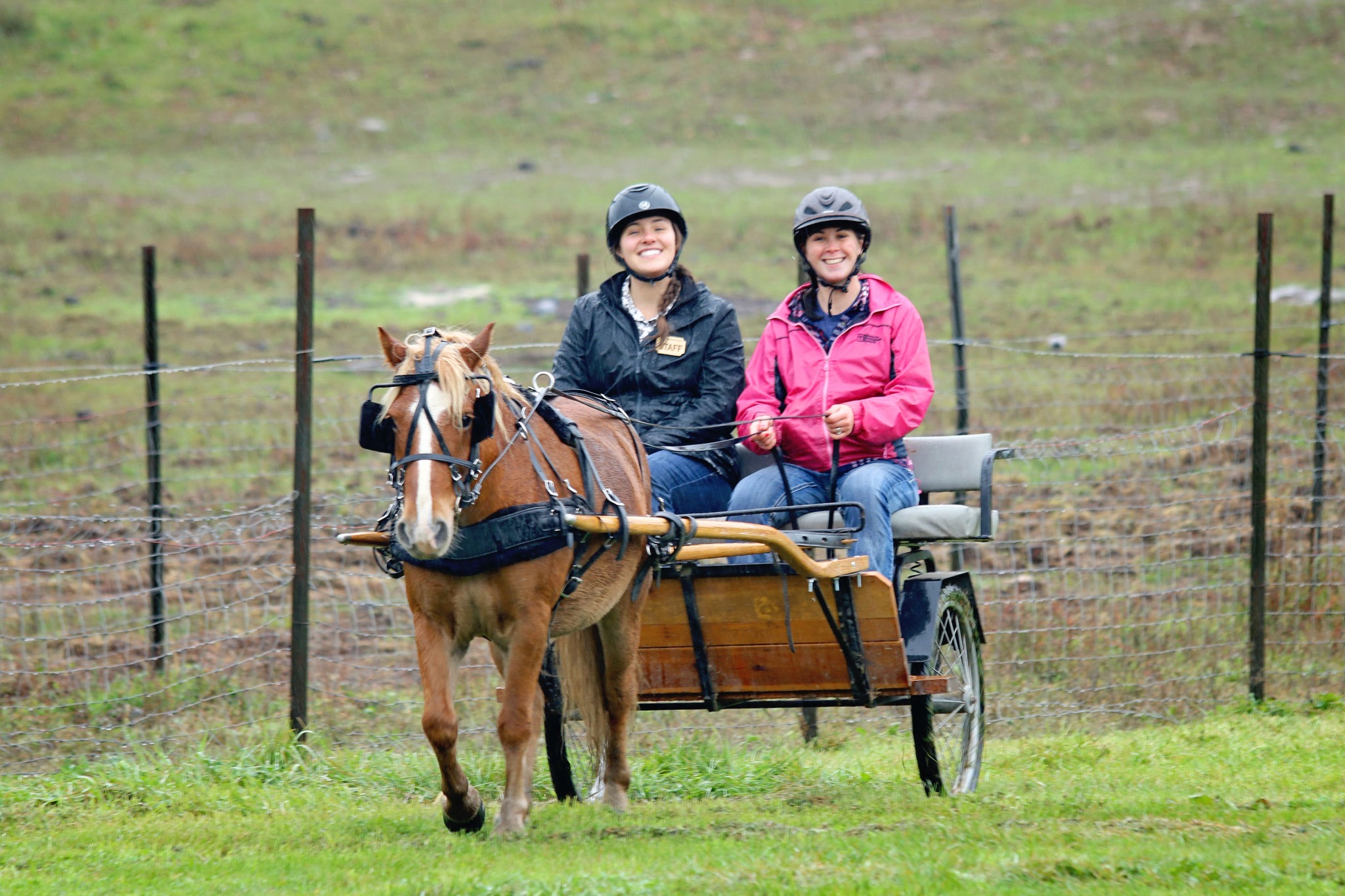Come Ride With Us